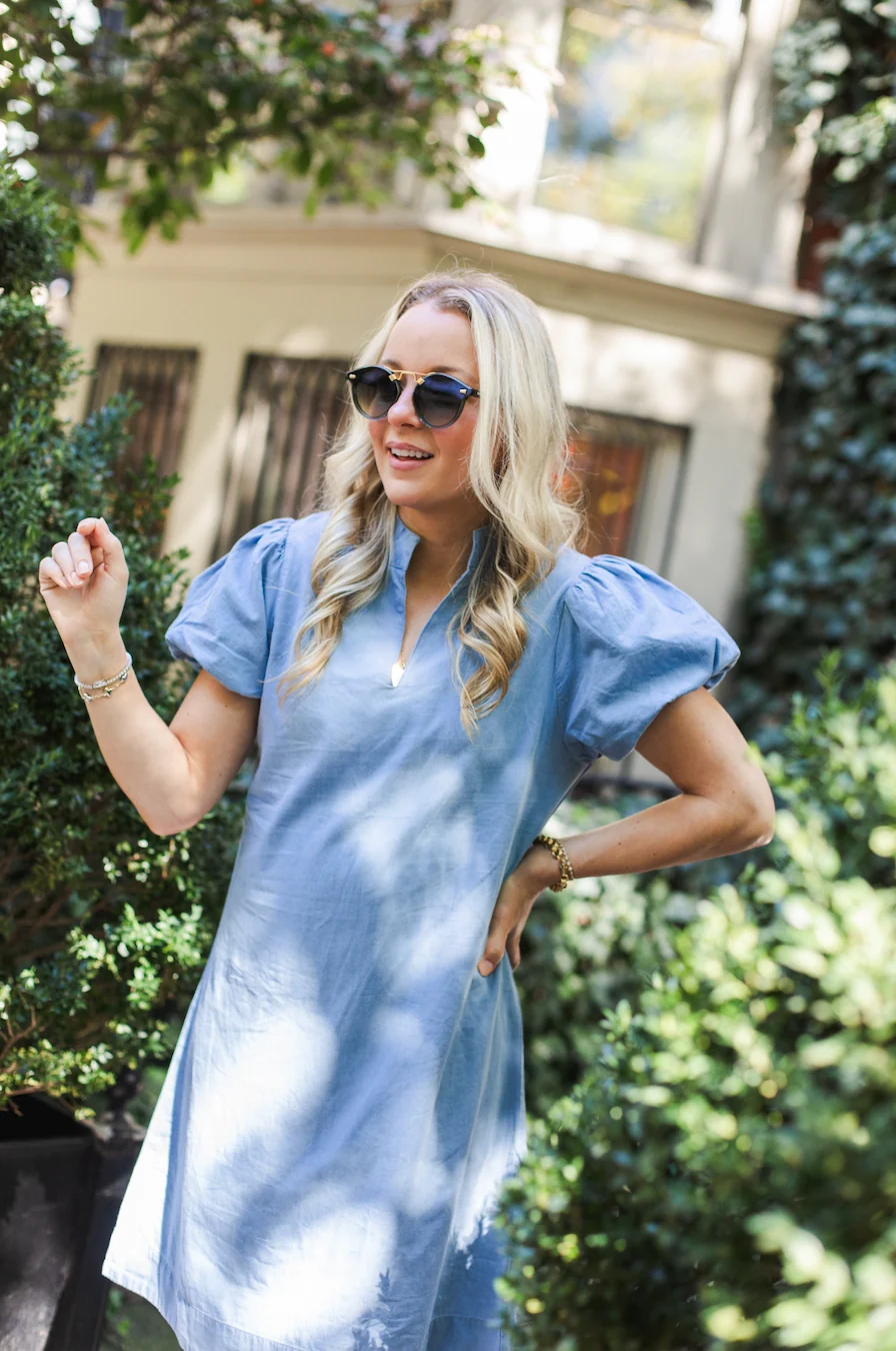 The Park Puff Sleeve Mini Dress - luftunsa