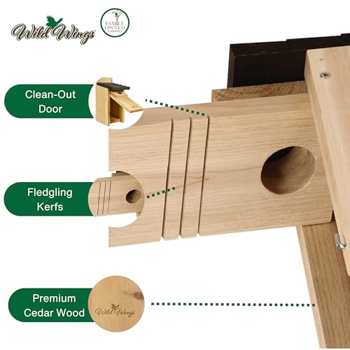 Wild Wings WWCH3 Cedar Blue Bird Box House