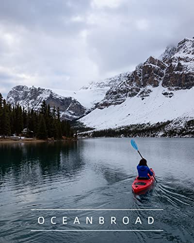 OCEANBROAD Kayak Paddle 86in/218cm, 90.5in/230cm, 95in/241cm Alloy Shaft Kayaking Boating Canoeing Oar with Paddle Leash