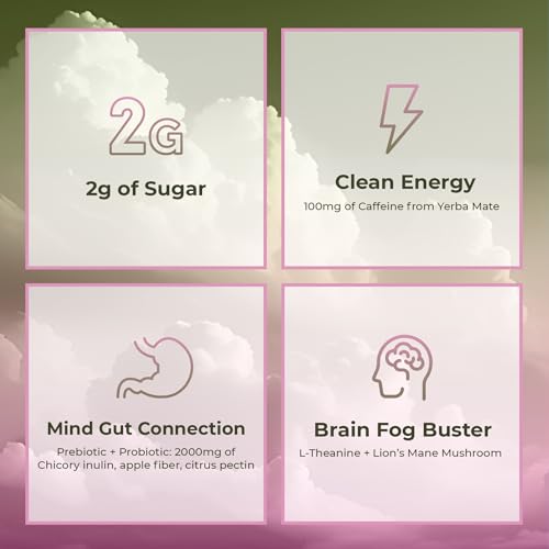 Yerba Mate Instant Tea Powder, 3-in-1 Super Drink - Clean Energy, Brain Fog Buster, and Gut Health Powered by Nootropics, Prebiotics and Probiotics | Yerba Magic Pina Colada 30 Servings