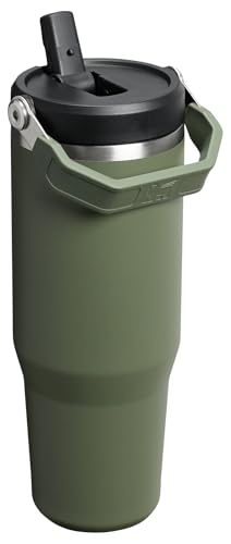 Stanley IceFlow Flip Straw Tumbler with Handle 30 oz | Twist On Lid and Flip Up Straw | Leak Resistant Water Bottle | Insulated Stainless Steel |BPA-Free | Lilac