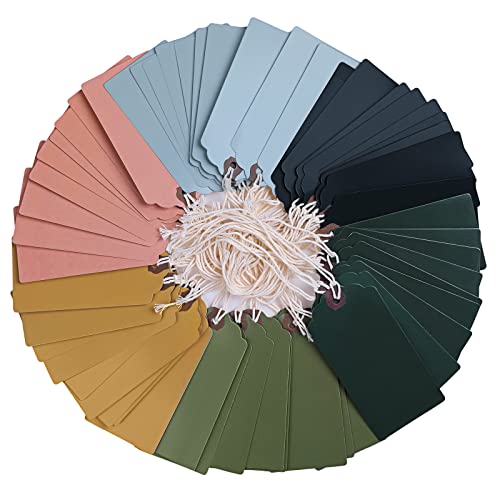 Outus 60 Pcs 4 3/4-in x 2 3/8-in Blank Large Paper Gift Tags with String and Reinforced Eyelet Wire Writable Price Tags Shipping Labels Inventory Labels(Morandi Color)