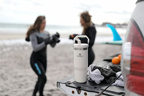 Stanley IceFlow Flip Straw Tumbler with Handle 30 oz | Twist On Lid and Flip Up Straw | Leak Resistant Water Bottle | Insulated Stainless Steel |BPA-Free | Lilac