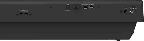 Roland FP-30X 88-Key Digital Piano - Black Bundle with Adjustable Stand, Bench, Sustain Pedal, Online Piano Lessons, Instructional DVD, and Austin Bazaar Polishing Cloth