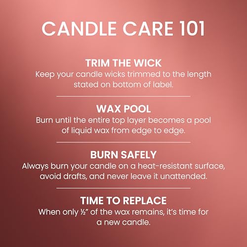 Yankee Candle Sugared Cinnamon Apple, Scented Candle, 22oz Large Jar with up to 150 Hour Burn Time, Giftable