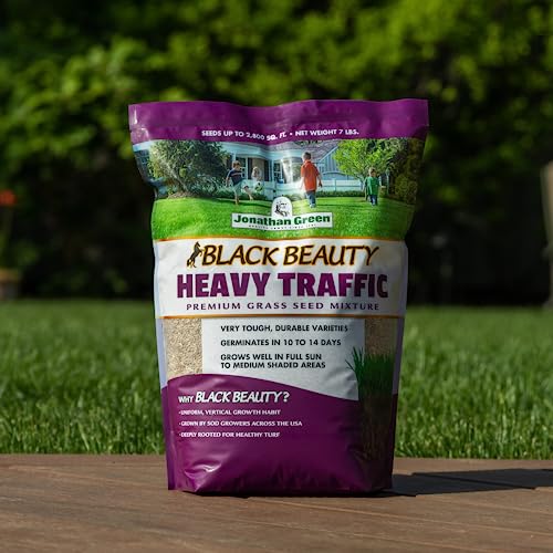 Jonathan Green (10980) Black Beauty Heavy Traffic Grass Seed - Cool Season Lawn Seed (25 lb)