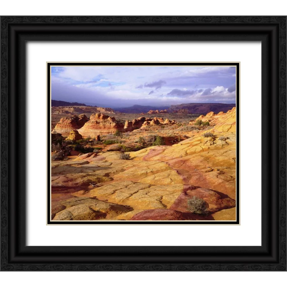 Talbot Frank, Christopher 30x26 Black Ornate Wood Framed with Double Matting Museum Art Print Titled - Arizona, Paria Canyon