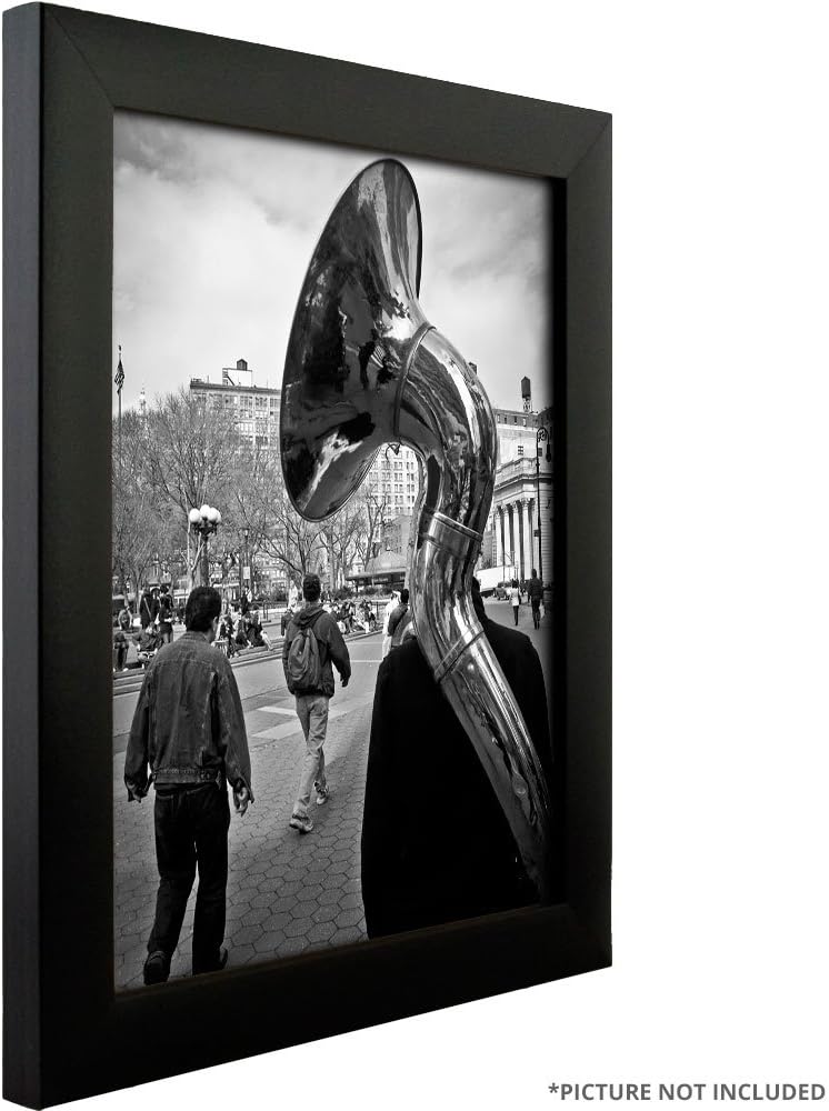Craig Frames 1WB3BK 20 by 30-Inch Picture/Poster Frame, Smooth Finish, 1-Inch Wide, Matte Black