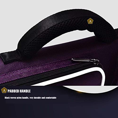 Champion 2X4,3x6 Nylon/Leatherette Billiard Pool Cue Stick Hard Carrying Case 4S2B, 6S3B