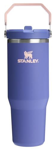 Stanley IceFlow Flip Straw Tumbler with Handle 30 oz | Twist On Lid and Flip Up Straw | Leak Resistant Water Bottle | Insulated Stainless Steel |BPA-Free | Lilac