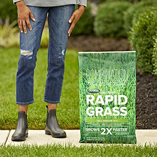 Scotts Turf Builder Rapid Grass Tall Fescue Mix, Combination Grass Seed and Fertilizer, Grows Green Grass in Just Weeks, 5.6 lbs.