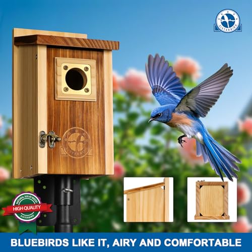 2 Pack Bird Houses for Outside Clearance with Copper Guard, Cedar Bird House Outdoor, Bluebird Finch Swallow Wren Chickadee Assembly Required