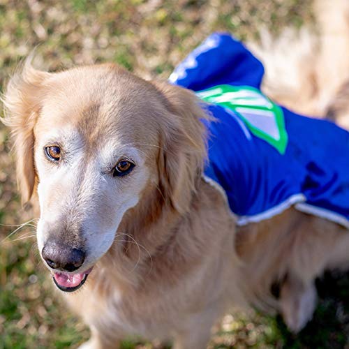 Everfan Personalized Dog Superhero Cape (Small 10