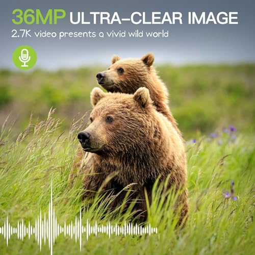 Trail Camera 2 Pack 36 MP 2.7K Game Camera 32GB Memory Card 4 Batteries Time 2.0