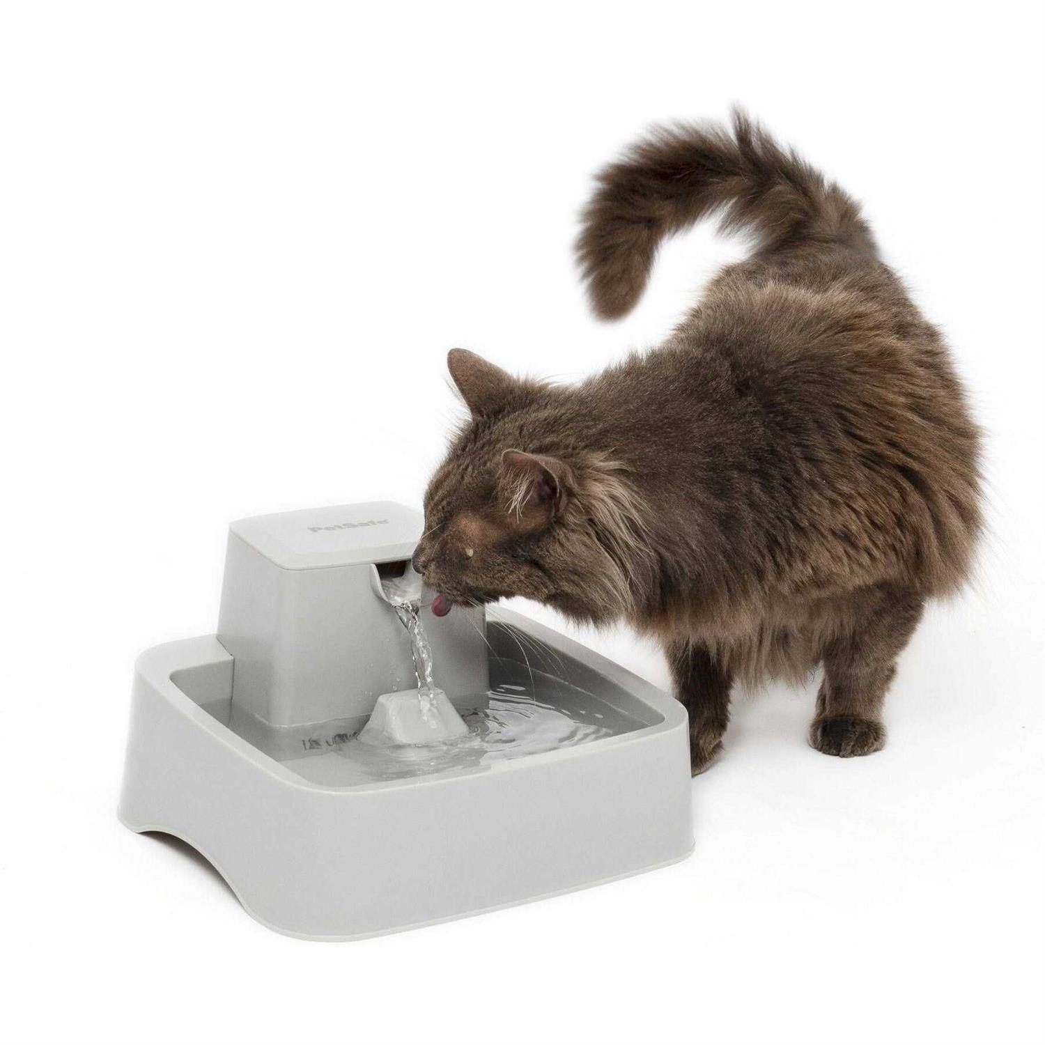 PetSafe 1/2 Gallon Drinkwell Pet Fountain - Pet Supplies online store
