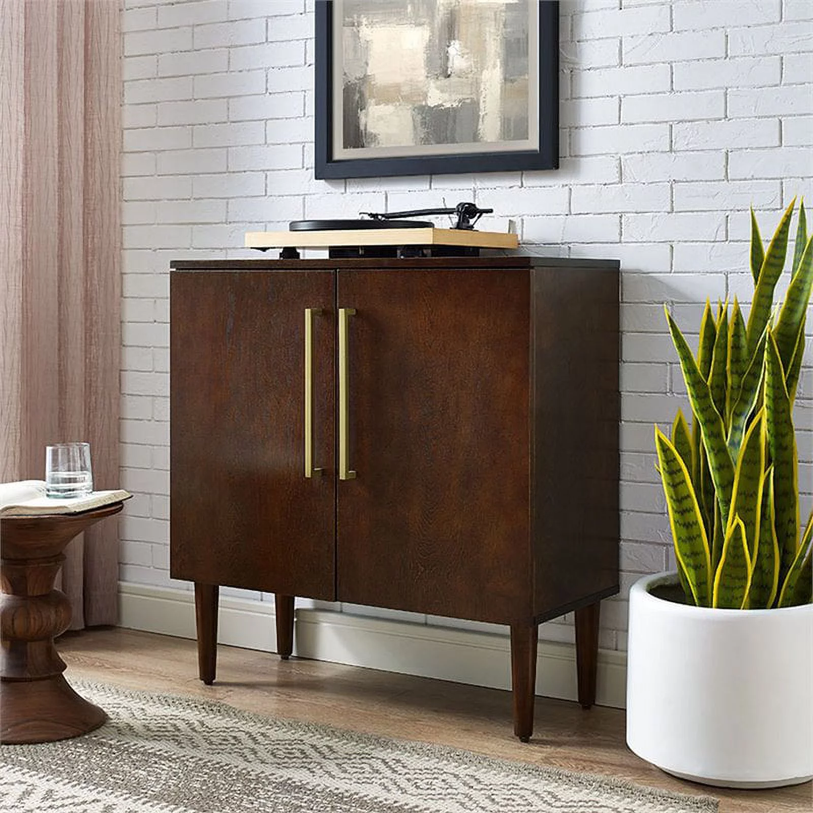 Bowery Hill Modern 2 Door Glass Console Table in Mahogany