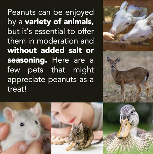 Wildlife Feed Raw Peanuts (10 LBS) - Our in-Shell Peanuts are The Ideal Critter Food to Attract Squirrels, Birds, Deer and Other Diverse Wildlife.