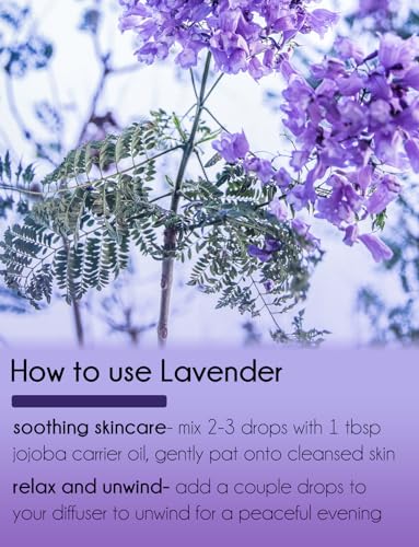 16 fl oz - Peppermint Essential Oil 100% Pure, Uncut, 16 fl oz - GreenHealth