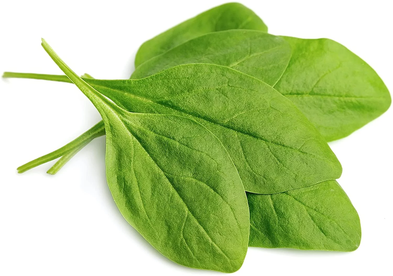 Augason Farms Dehydrated Spinach Flakes 8 oz No. 10 Can