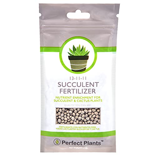 Succulent and Cactus Fertilizer in 5oz. Bag | Long Lasting Gentle Plant Food Formula for all Live Succulents, Cacti, and Other Desert Houseplants
