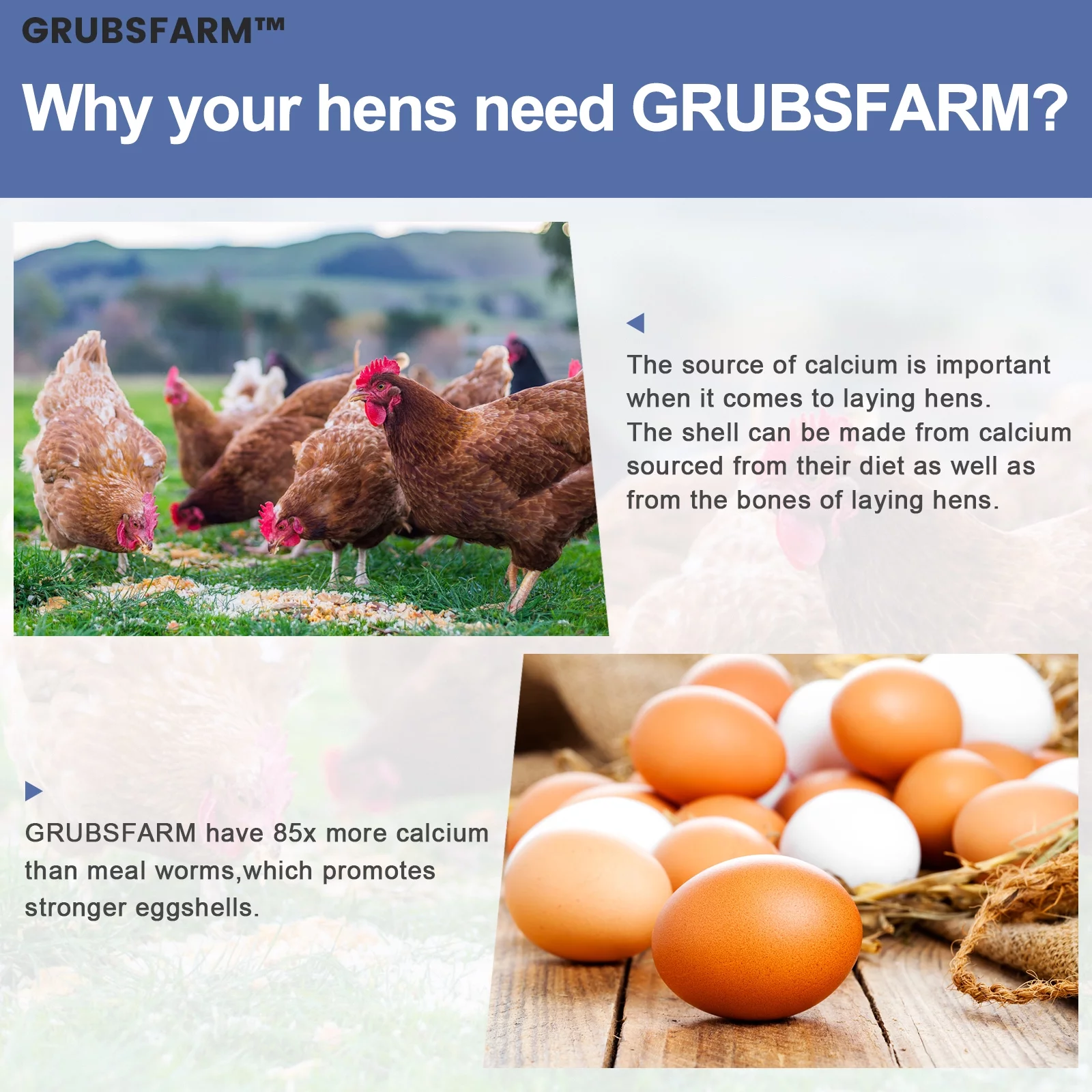 GRUBSFARM Premium Chicken Treats 5LBS - Superior to Dried Mealworms - Non-GMO & 85X More Calcium Than Meal Worms - Molting & Laying Supplement - BSF Larvae Treats for Layer Hens, Ducks Wild Birds