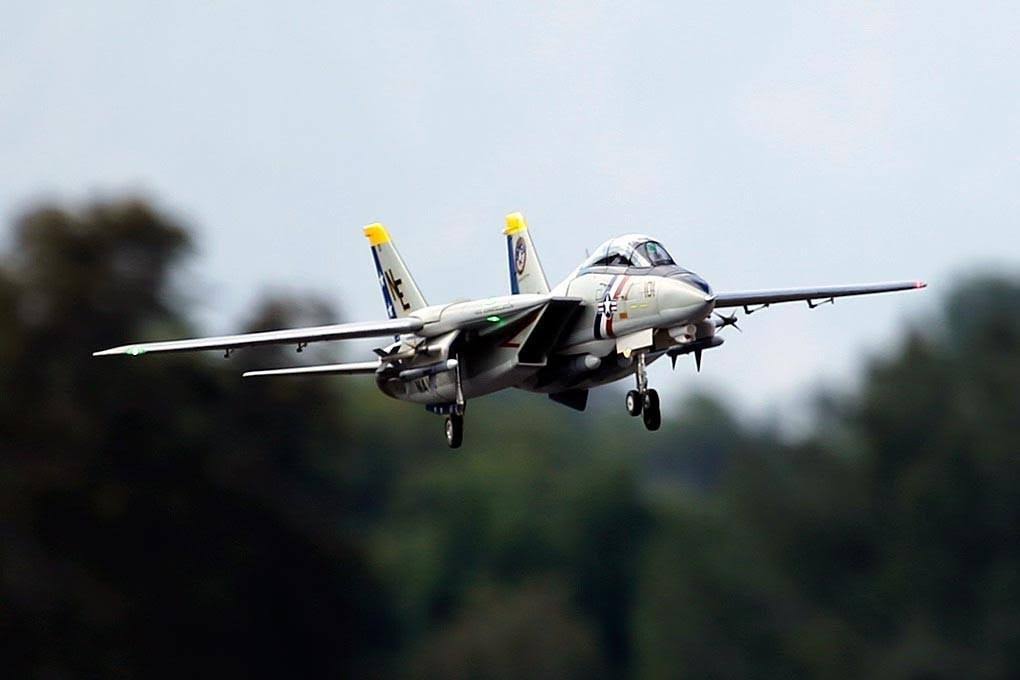 Freewing F-14 Tomcat Twin 80mm EDF Jet - ARF Plus FJ30811A+