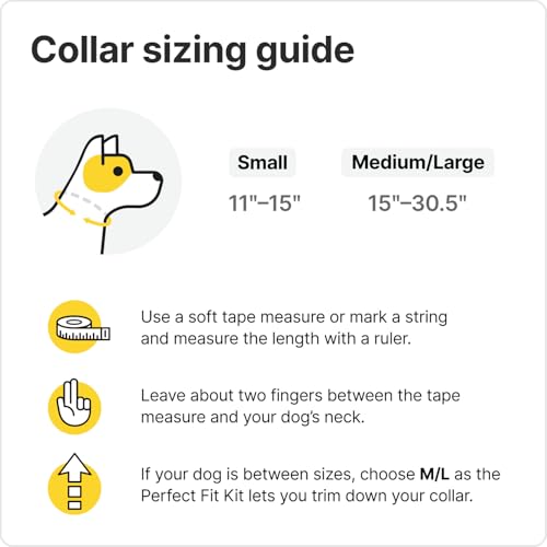 Halo Collar 3, Multifunctional GPS Wireless Dog Fence & Dog Training Collar with GPS Tracker, Subscription Required, Waterproof, Graphite (Small)