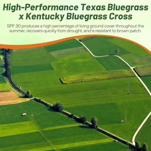 Outsidepride 5 lb. SPF-30 Heat & Drought Tolerant Hybrid Bluegrass Lawn Grass Seed