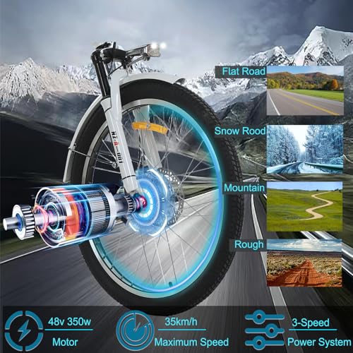 HOLAA Electric Tricycle for Adults 3 Wheel Electric Bicycle, 24