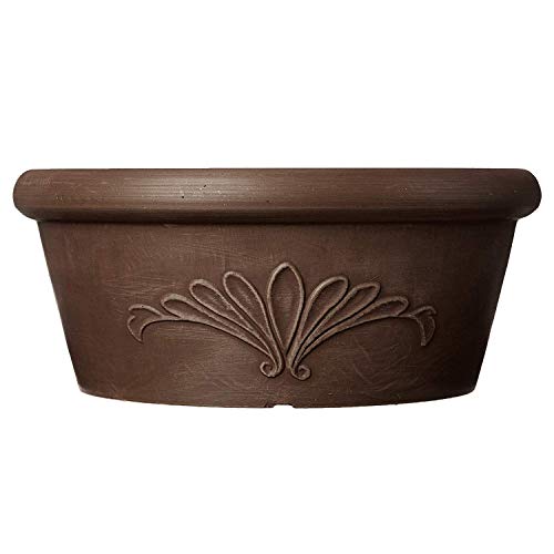 Arcadia Garden Products PSW Pot TA25TC Collection Shallow Bulb Pan Planter Dish Low Bowl for Succulents, Bonsai, Fairy Gardens, Herbs, 10-inch, Terra Cotta Color, 10