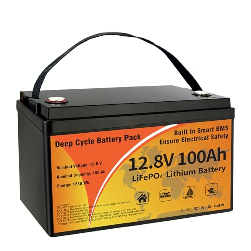 12V 100Ah LiFePO4 Lithium Battery, Group 31 Low-Temp Protection LiFePO4 Battery Built-in Smart BMS, 8000+ Deep Cycles 1280Wh Rechargeable 100A Battery Waterproof for Solar, Home, RVs (12V)