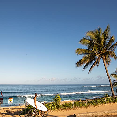 REEF J-Bay III Men's Full Grain Leather Flip Flop