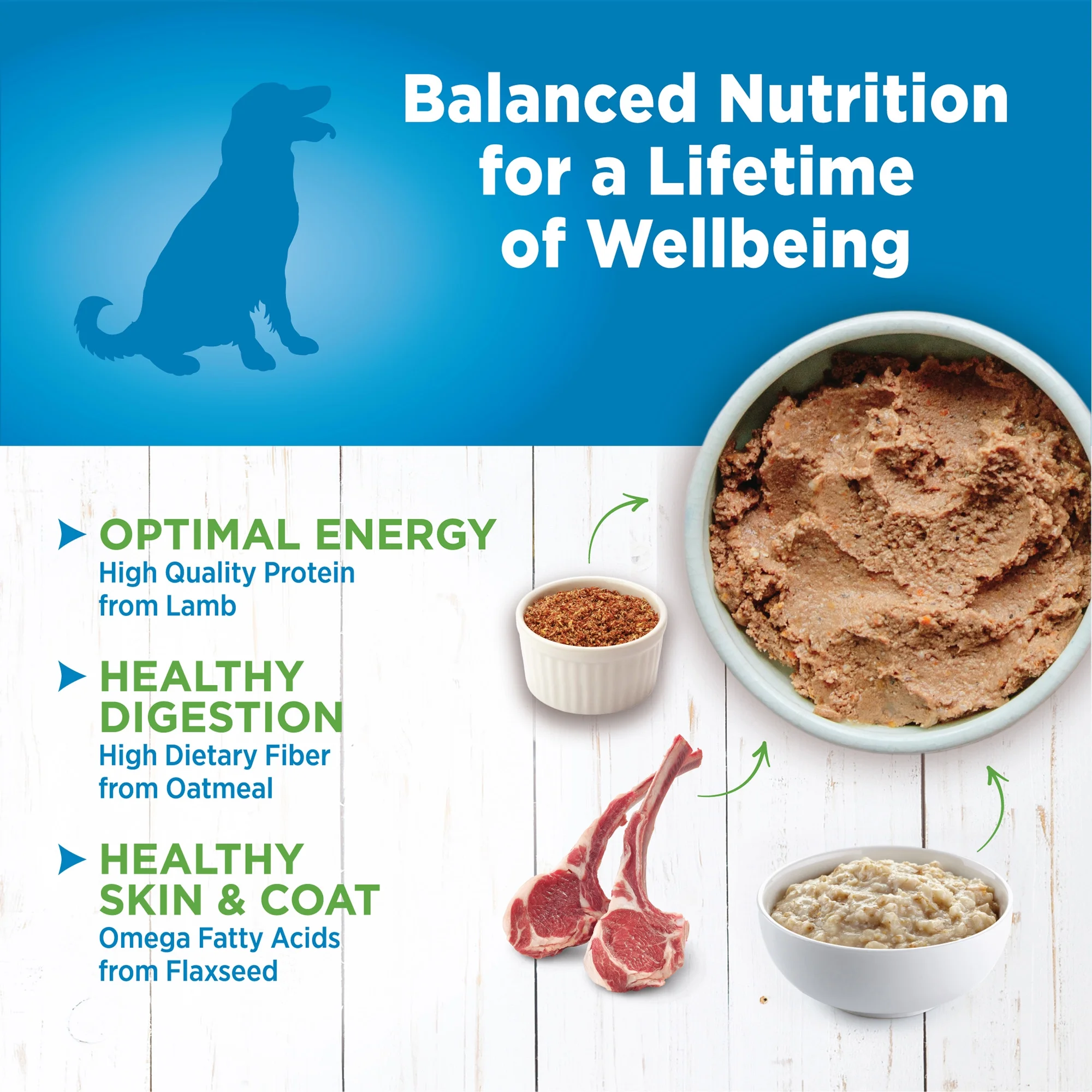 Wellness Simple Natural Wet Canned Limited Ingredient Dog Food, Lamb & Oatmeal, 12.5-Ounce Can (Pack of 12)