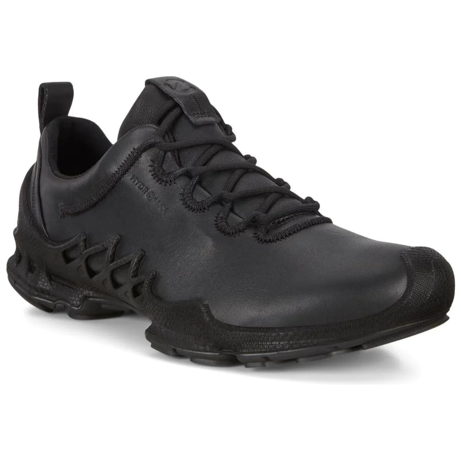 Ecco Men's Biom Aex Low in Black Dritton