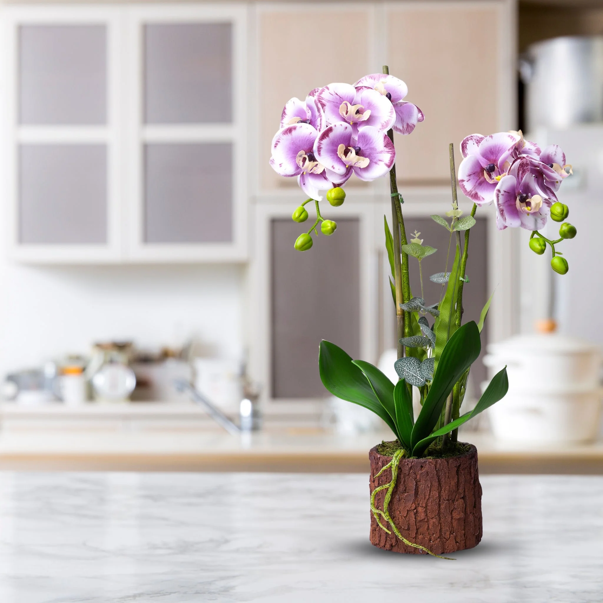Accent Collection Faux Orchid Plant, Artificial Flowers for Home, Indoor Fake Plant