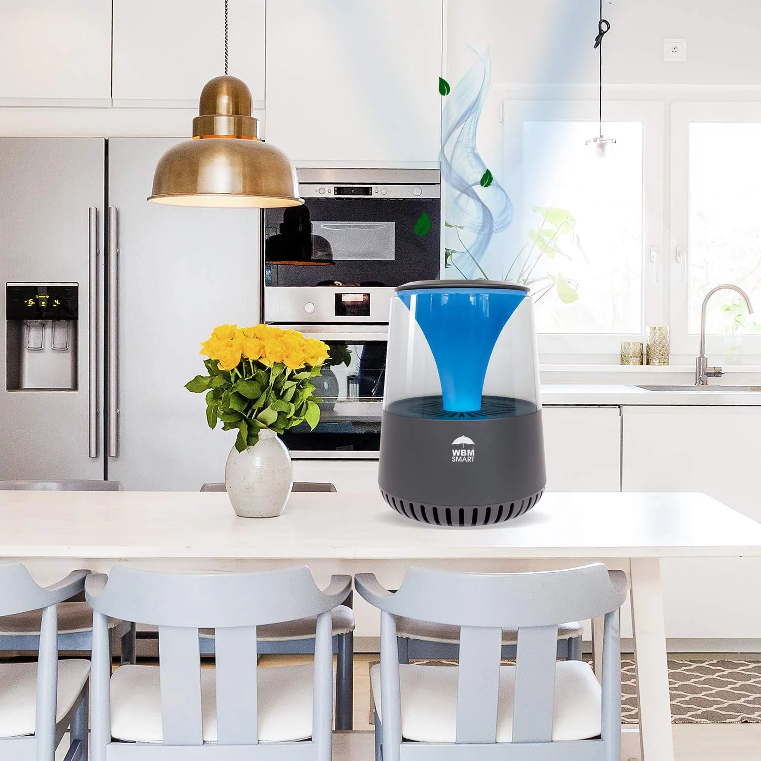 WBM Air Purifier with Bluetooth & Speaker, Purifies Particles and Cover up to 1440 sq fit room - Black