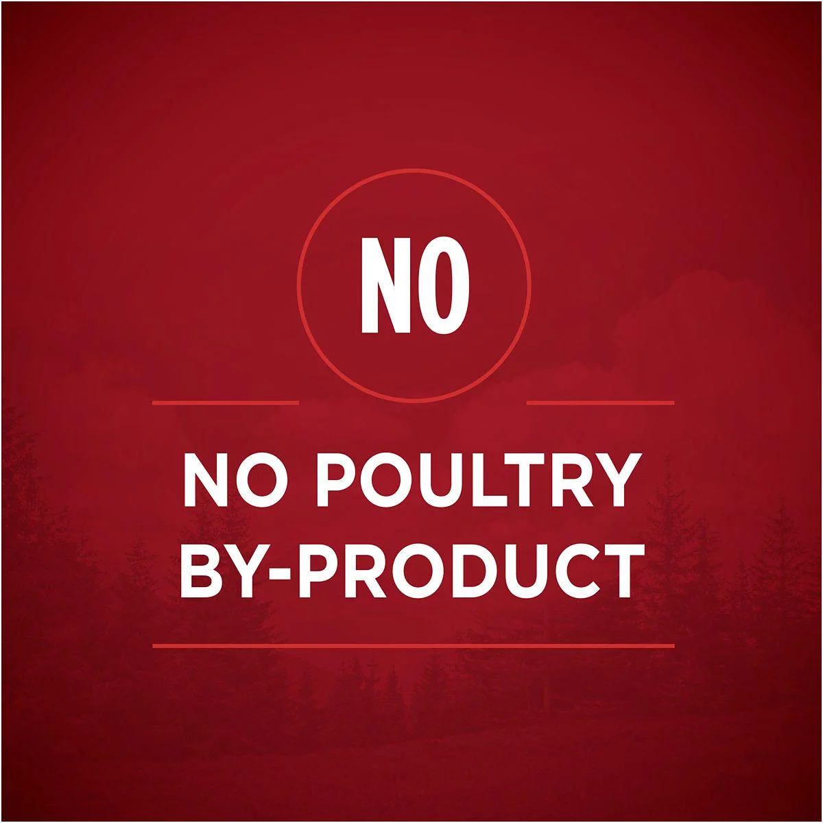 Purina ONE SmartBlend Adult Turkey, Venison, Chicken and Duck Cuts in Gravy Wet Dog Food Variety Pack, 13 oz. Can, Pack of 12