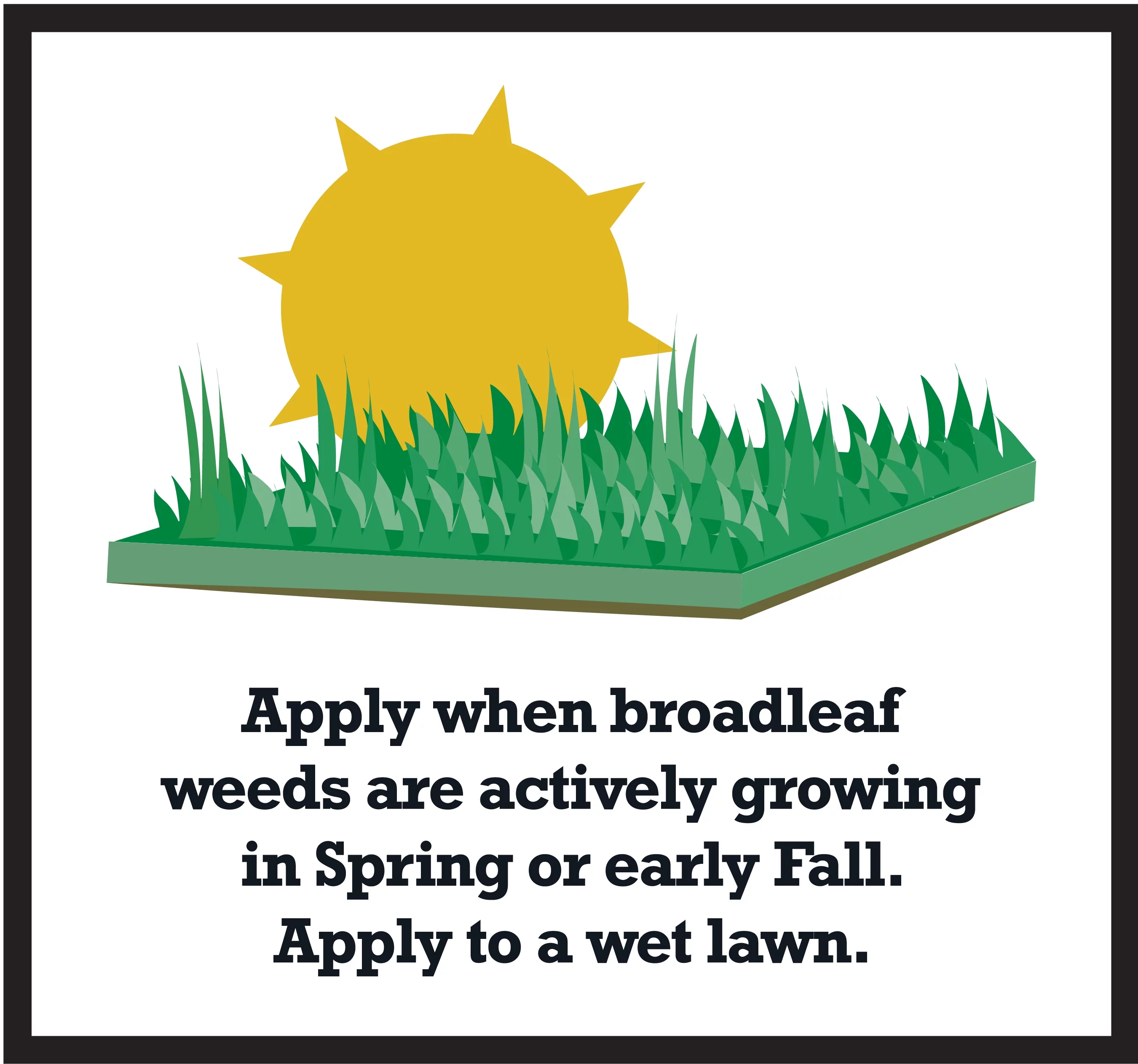 Expert Gardener Southern Weed & Feed, Lawn Fertilizer, 32 lb. - Covers 10,000 Sq. ft.