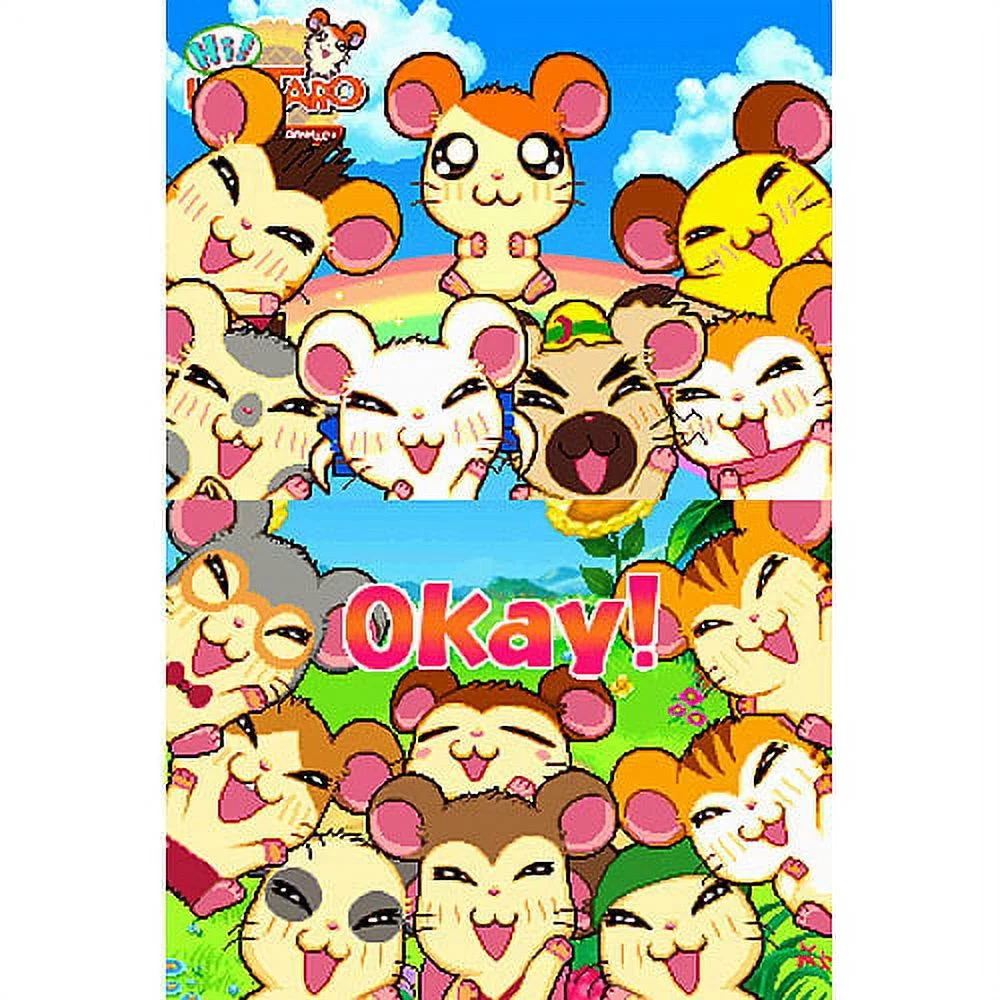 Hi Hamtaro Ham Ham Challenge NDS