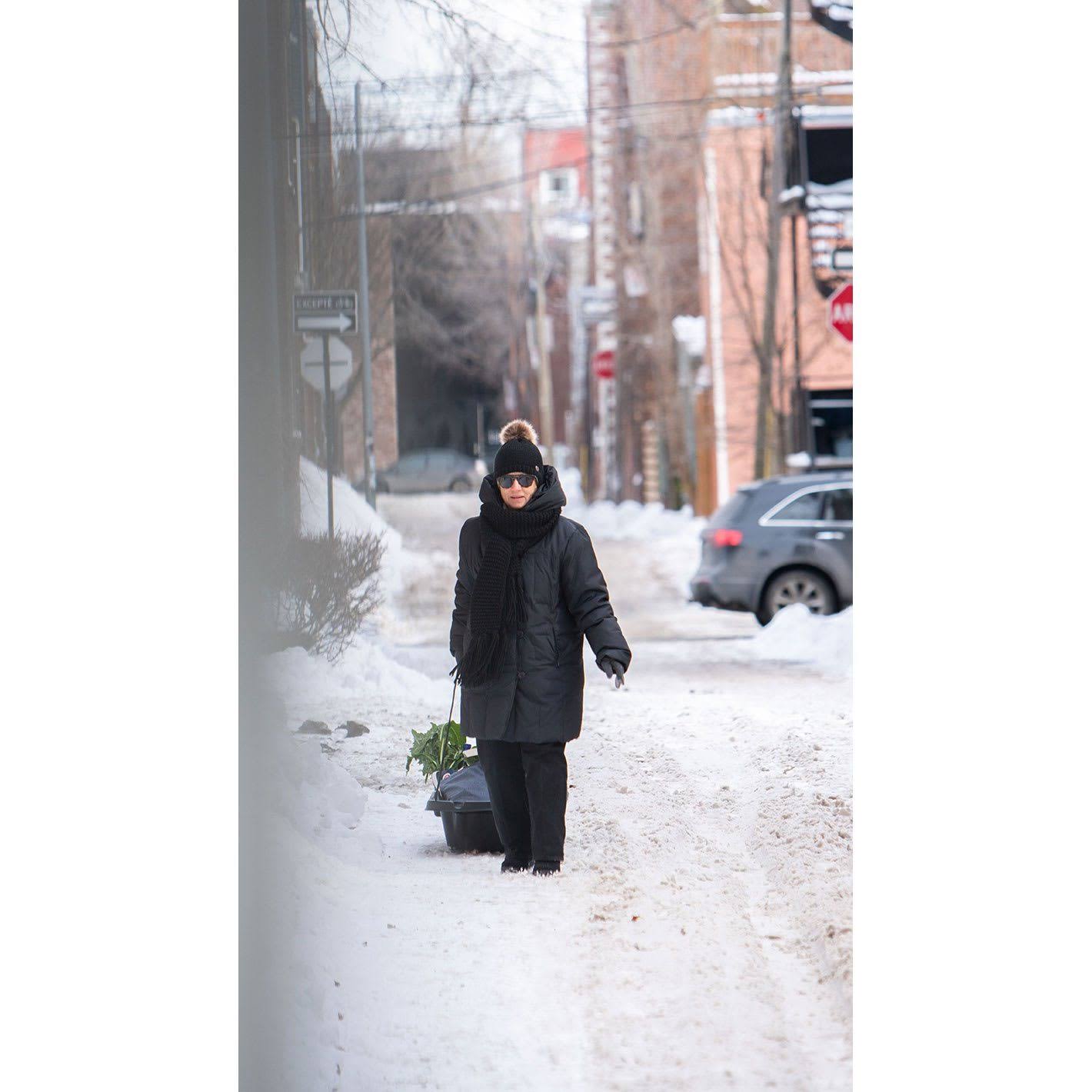 Pelican Snow Trek 45 Utility Sled