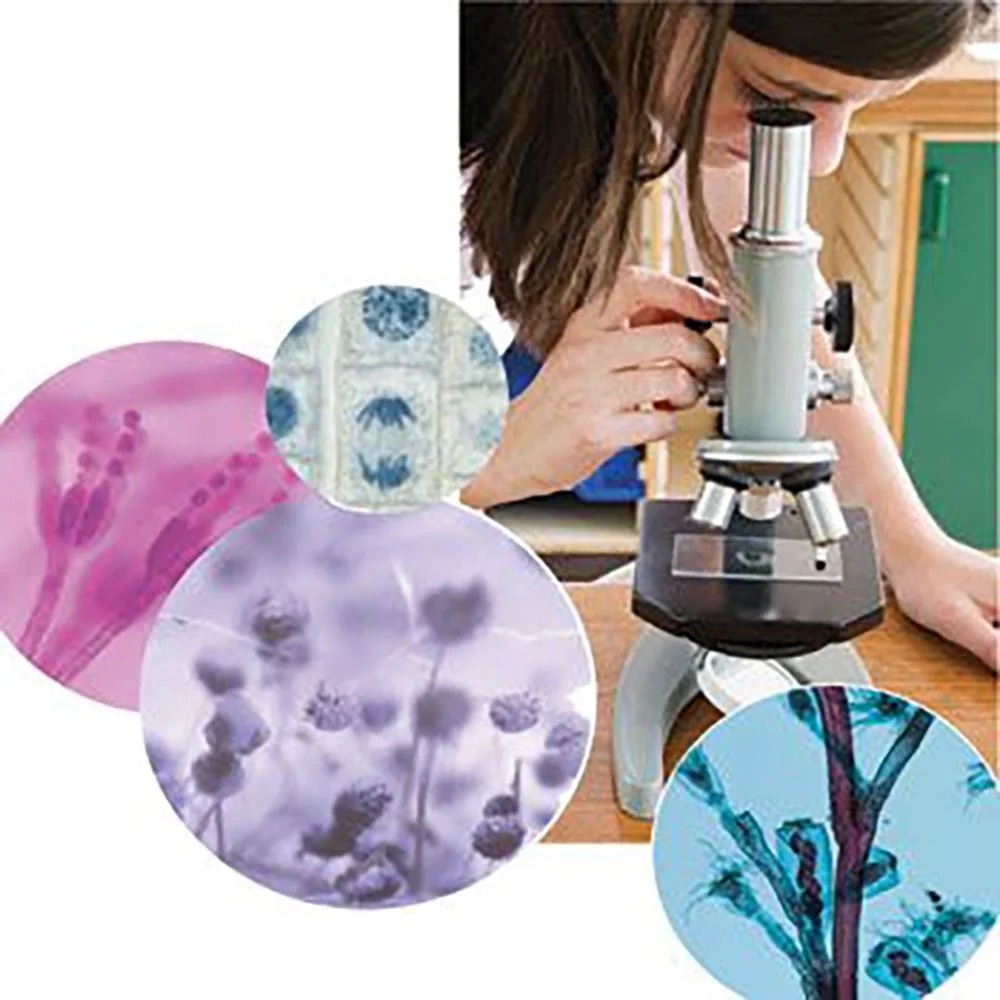 Beginner's Biology Microscope Slide Set