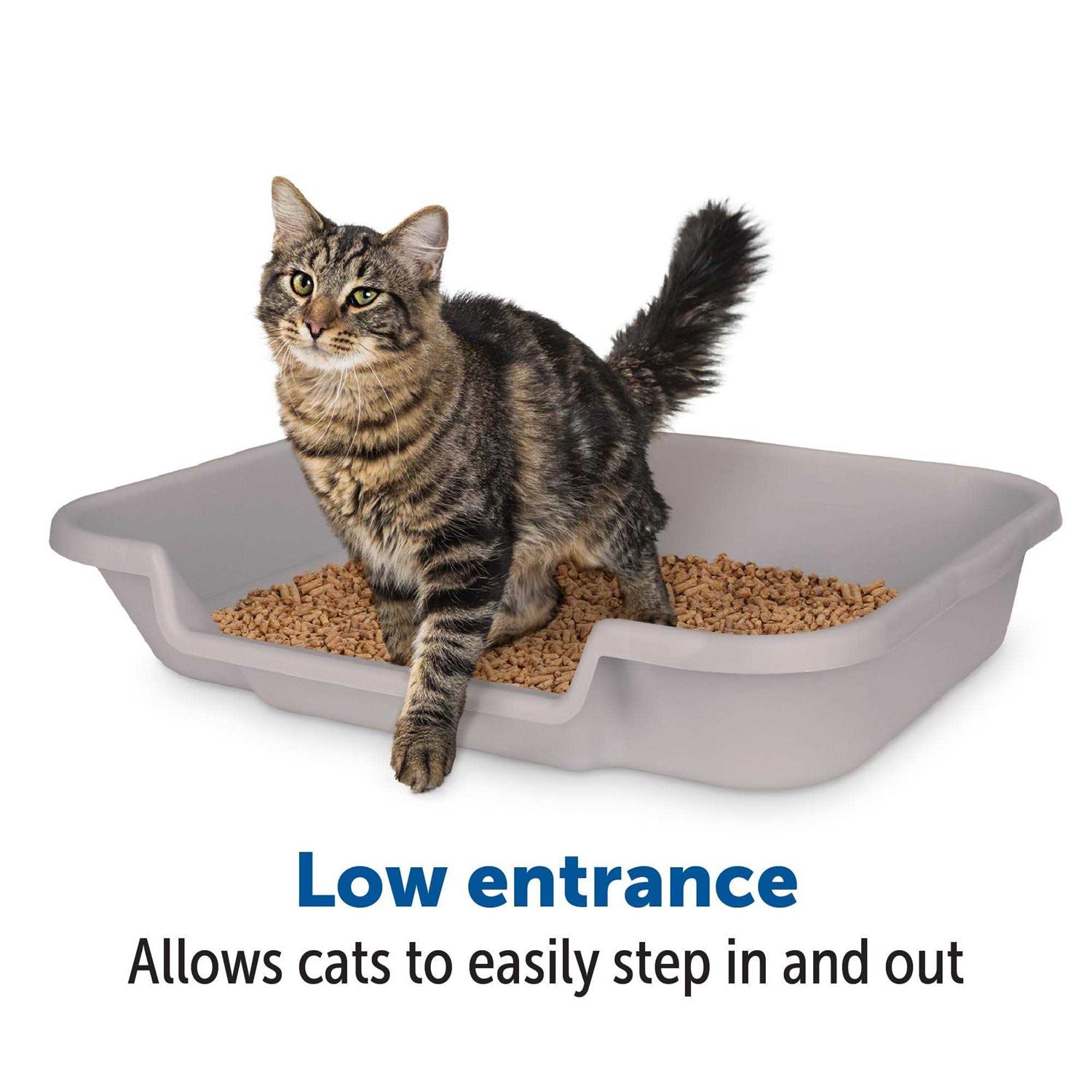 NE14pets KittyGoHere Litter Box for Senior cats That cant cope with a Traditional Litter Box Large Box Misty gray - Pet Supplies online store