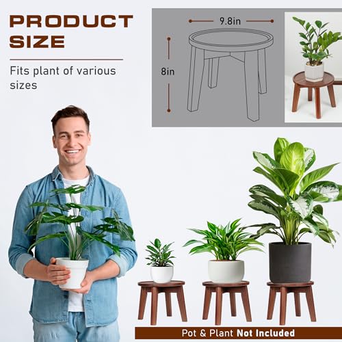 Demigo Indoor Plant Stand, Acacia Wooden Decorative Plant Shelf with Spill-Proof Tray, Stable 8” Tall Flower Holder for Heavy Pots, Gardening Display for Decor Living Room Patio - Natural Brown