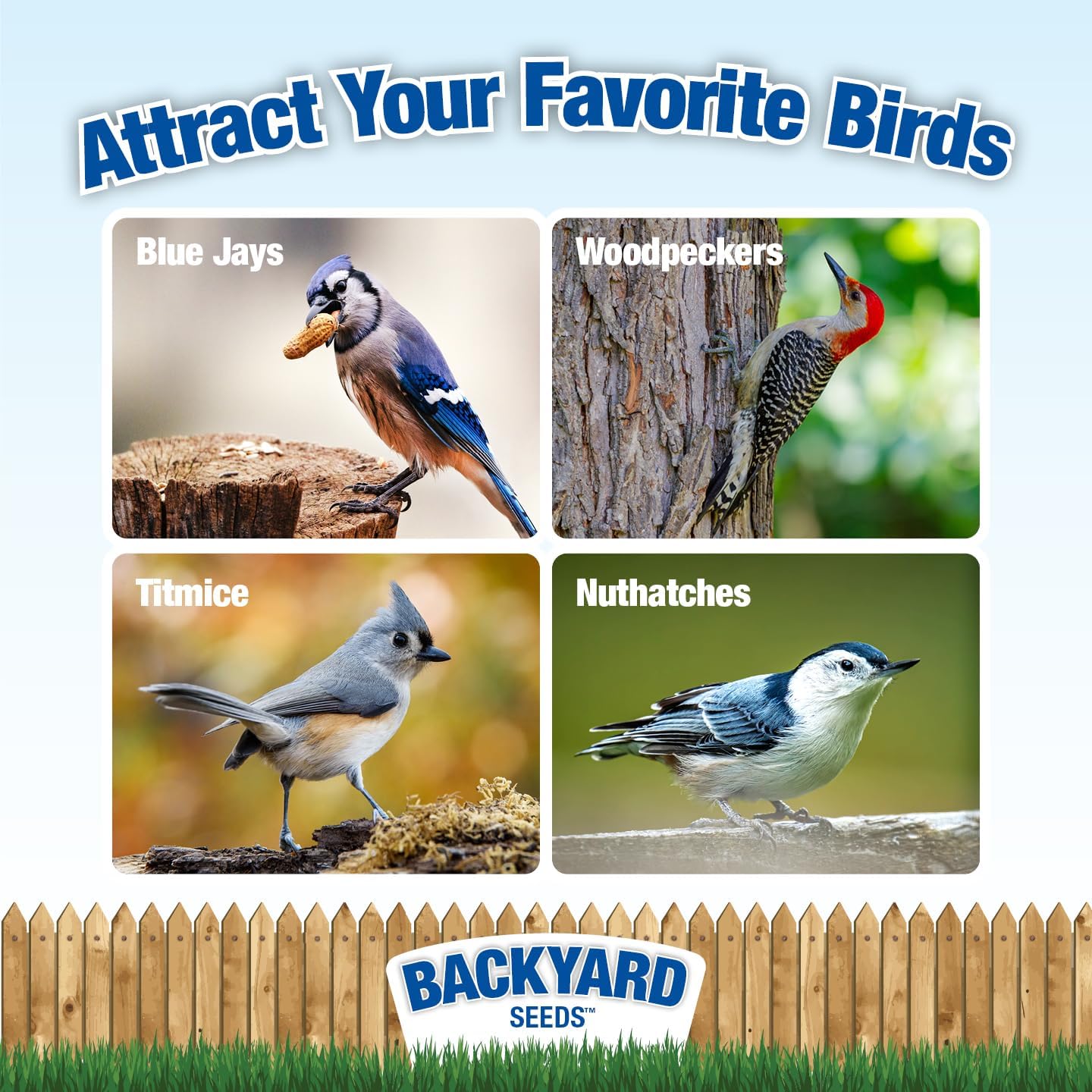 Bulk Raw Peanuts in Shell for Birds and Squirrels Food 5 Pounds