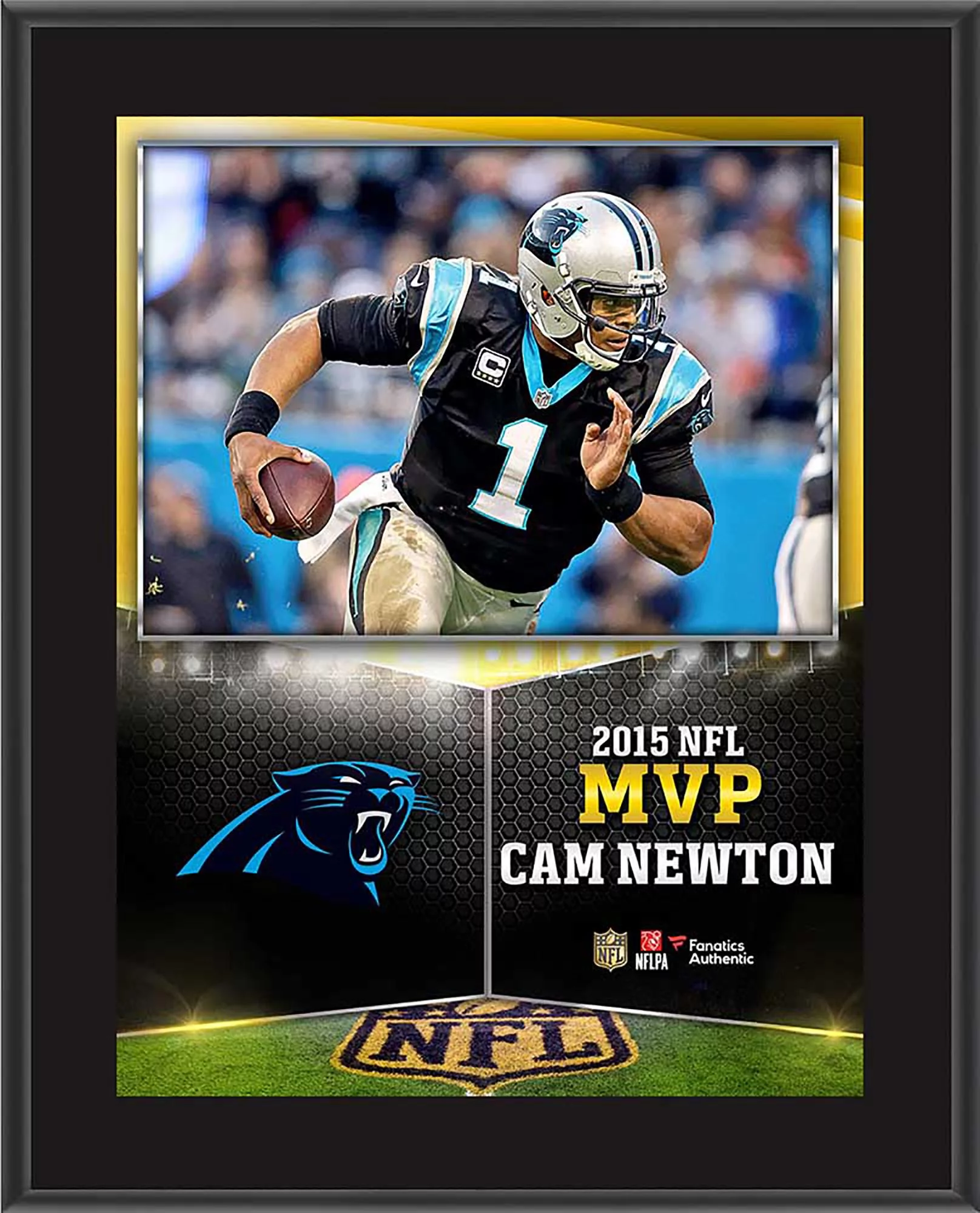 Cam Newton Carolina Panthers 10.5