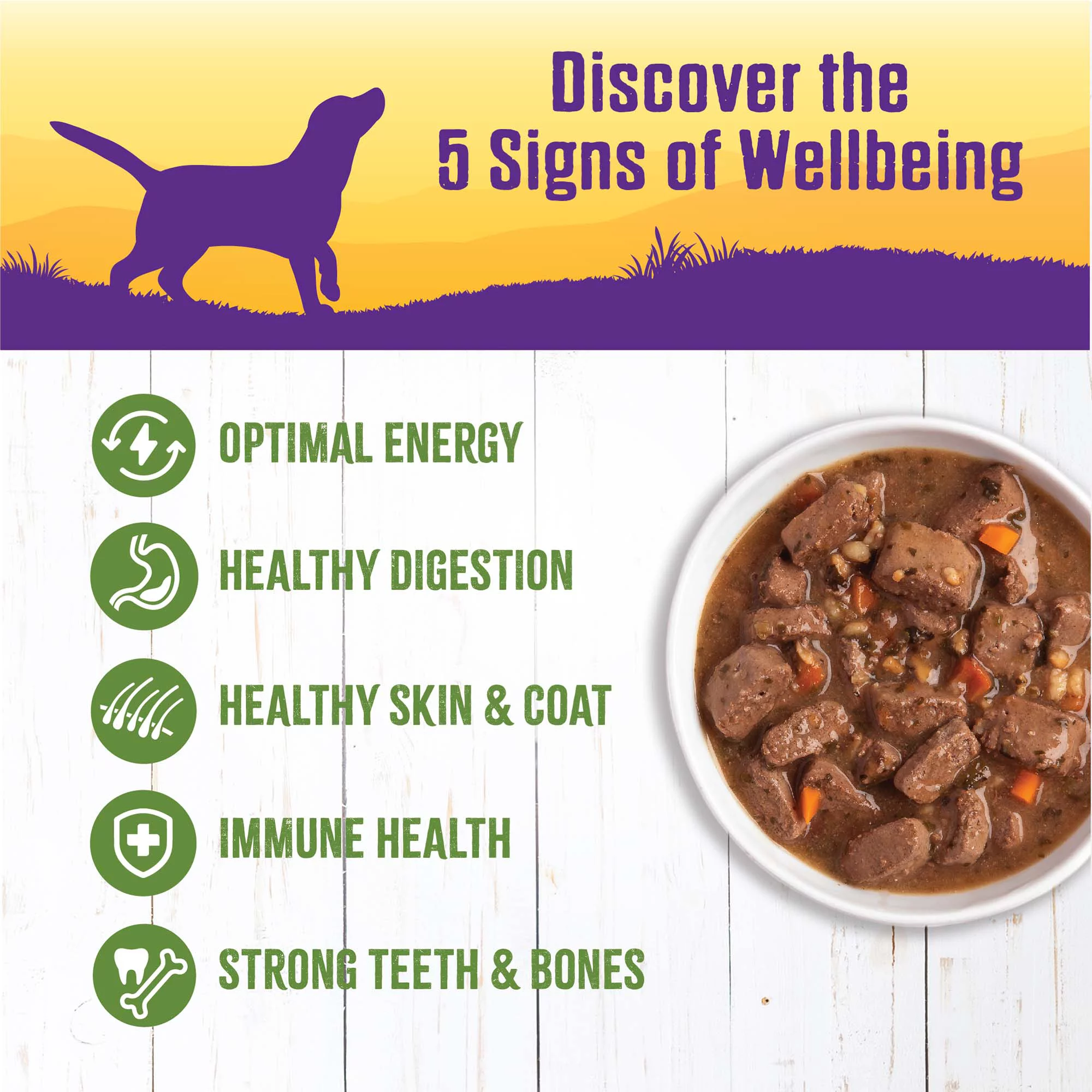 Wellness Thick & Chunky Natural Canned Dog Food, Lamb & Beef Stew, 12.5-Ounce Can (Pack of 12)