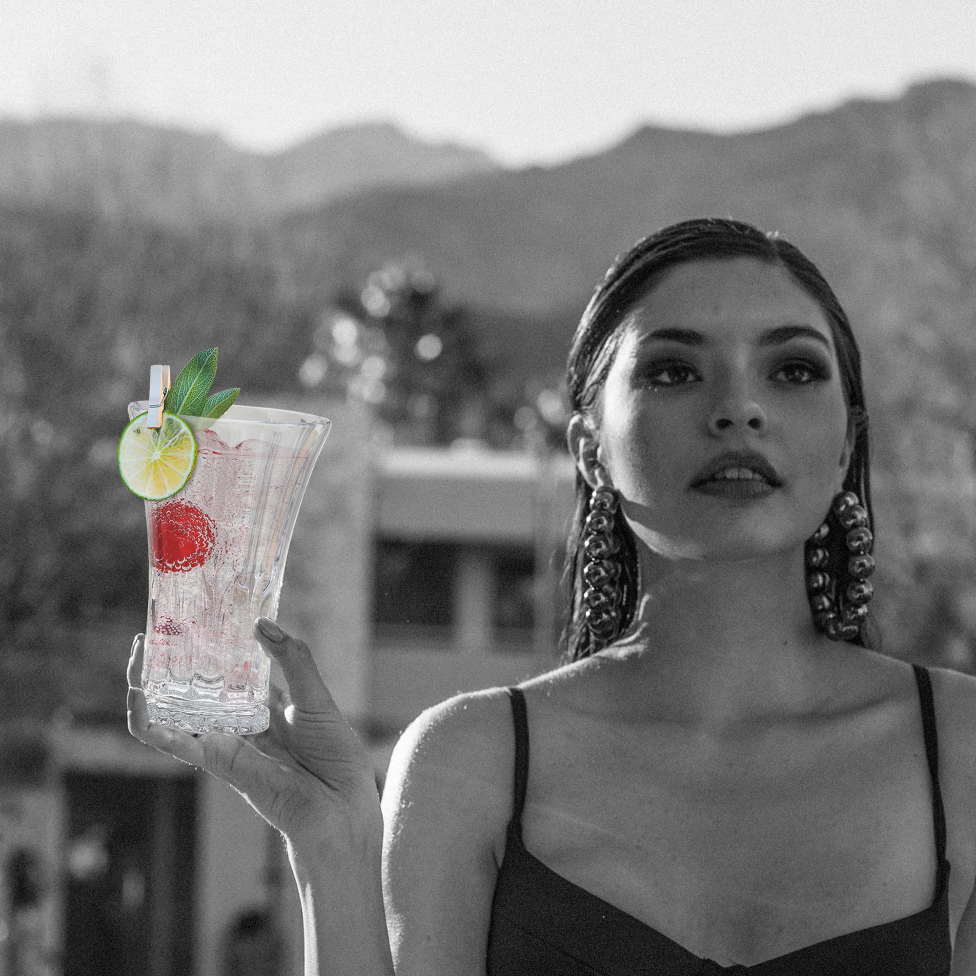 Tulip Highball Glasses- Set of 6