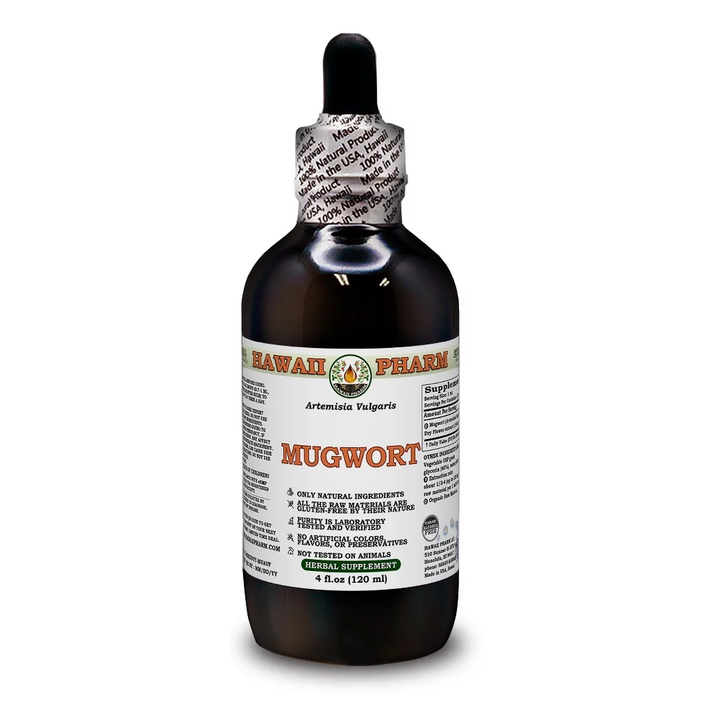 Mugwort (Artemisia Vulgaris) Dry Herb ALCOHOL-FREE Liquid Extract Glycerite. Expertly Extracted by Trusted HawaiiPharm Brand. Absolutely Natural. Proudly made in USA. Glycerite 4 Fl.Oz