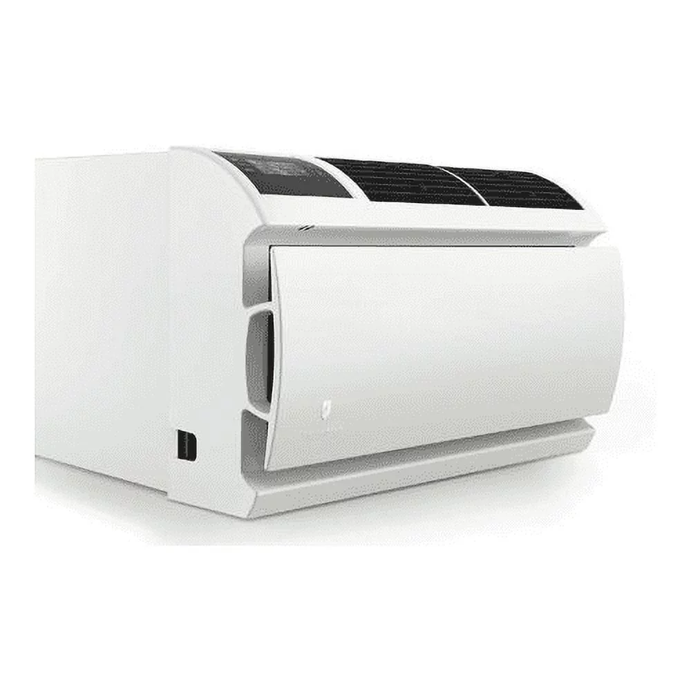 Friedrich Wct08a10a Wallmaster 8000 BTU 115 Volt Through Wall Air Conditioner - White