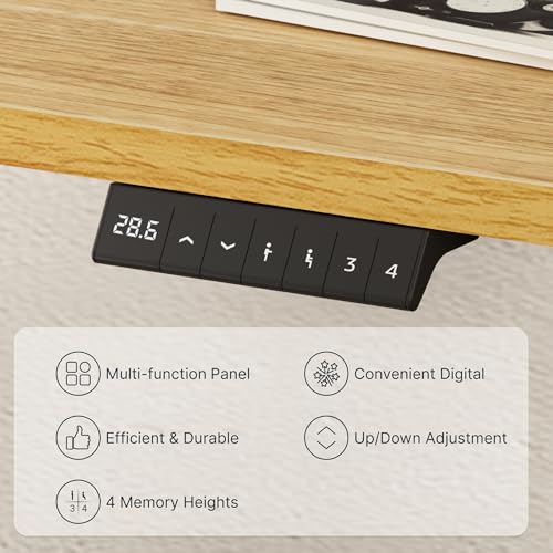 FLEXISPOT EN2 Whole-Piece Standing Desk with Clamp Power Strip, 55 x 28” Electric Stand Up Height Adjustable Desk with Cable Management (Black Frame + 55